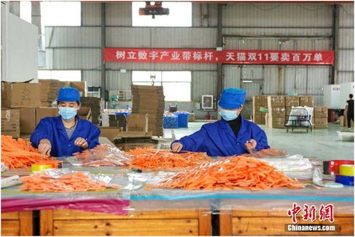 天貓雙11首日產業帶迎來開門紅 7個產地1小時銷量過億