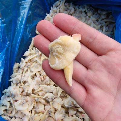 連云港農(nóng)產(chǎn)品市場 供應(yīng)、價格與網(wǎng)上交易平臺全景分析